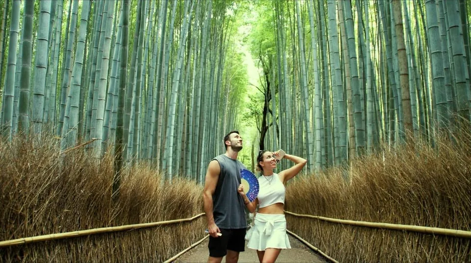 The bamboo & matcha tour